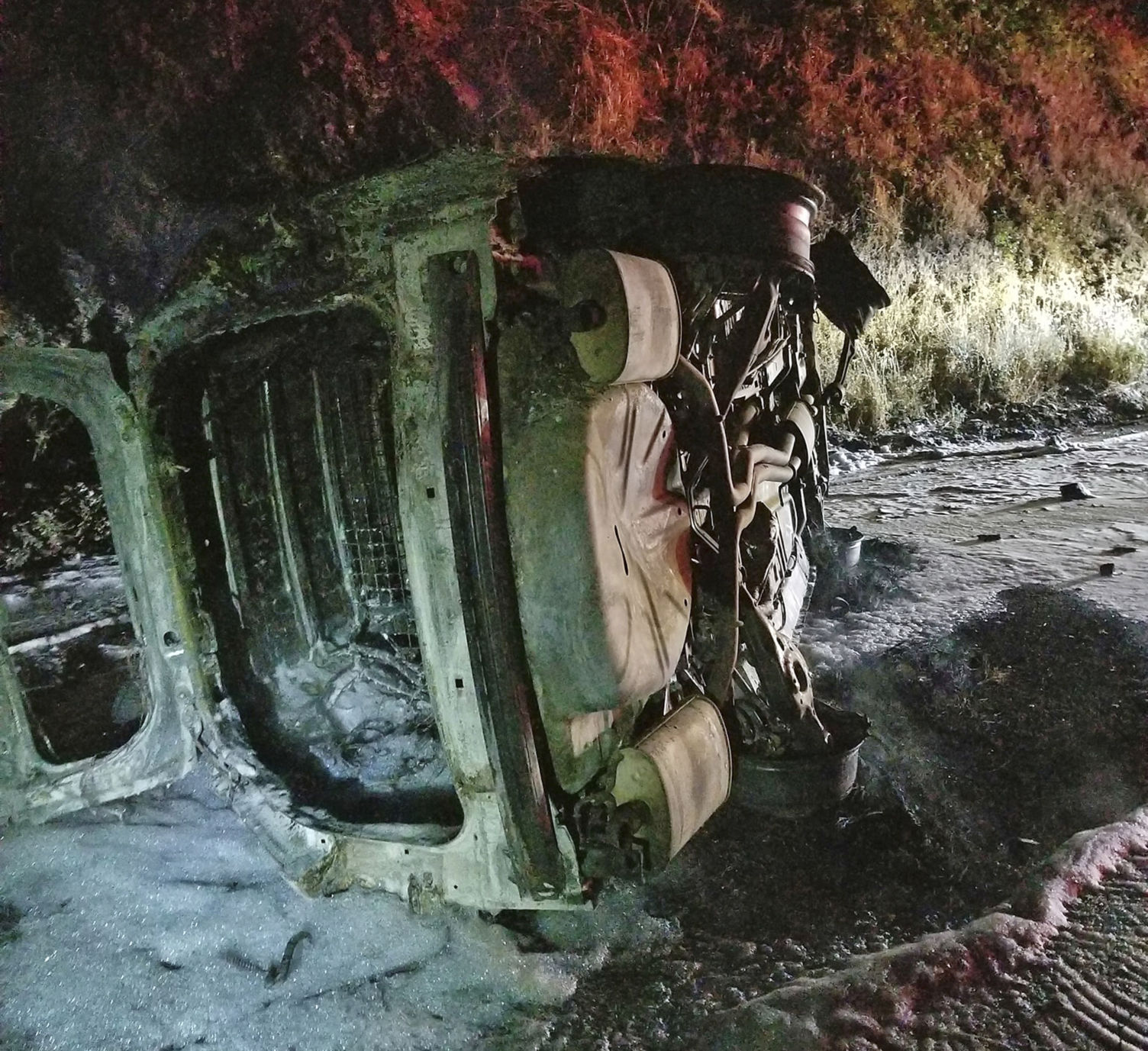 Bear Falls on Car